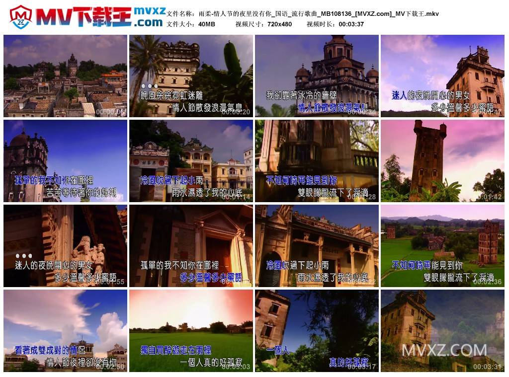 雨柔-情人节的夜里没有你_国语_流行歌曲_MB108136